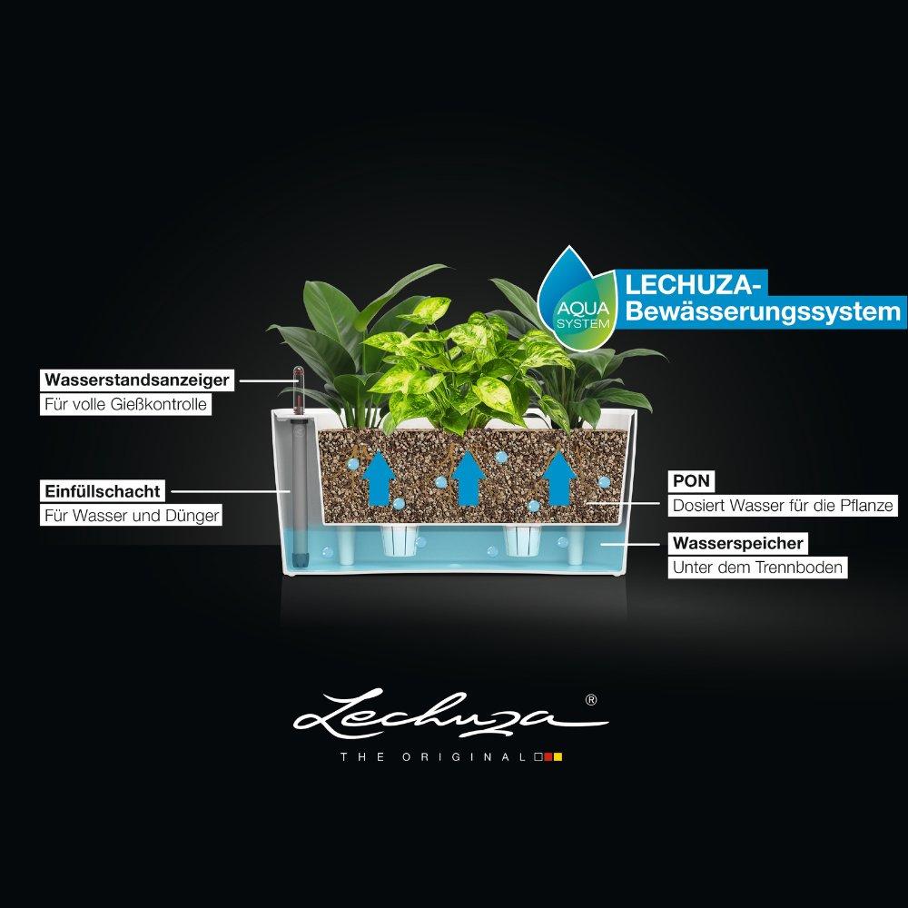 LECHUZA DELTA 20